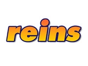 Reins