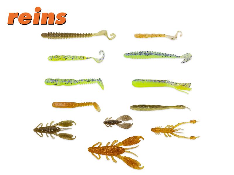 REINS BA-EDITION SET 2021