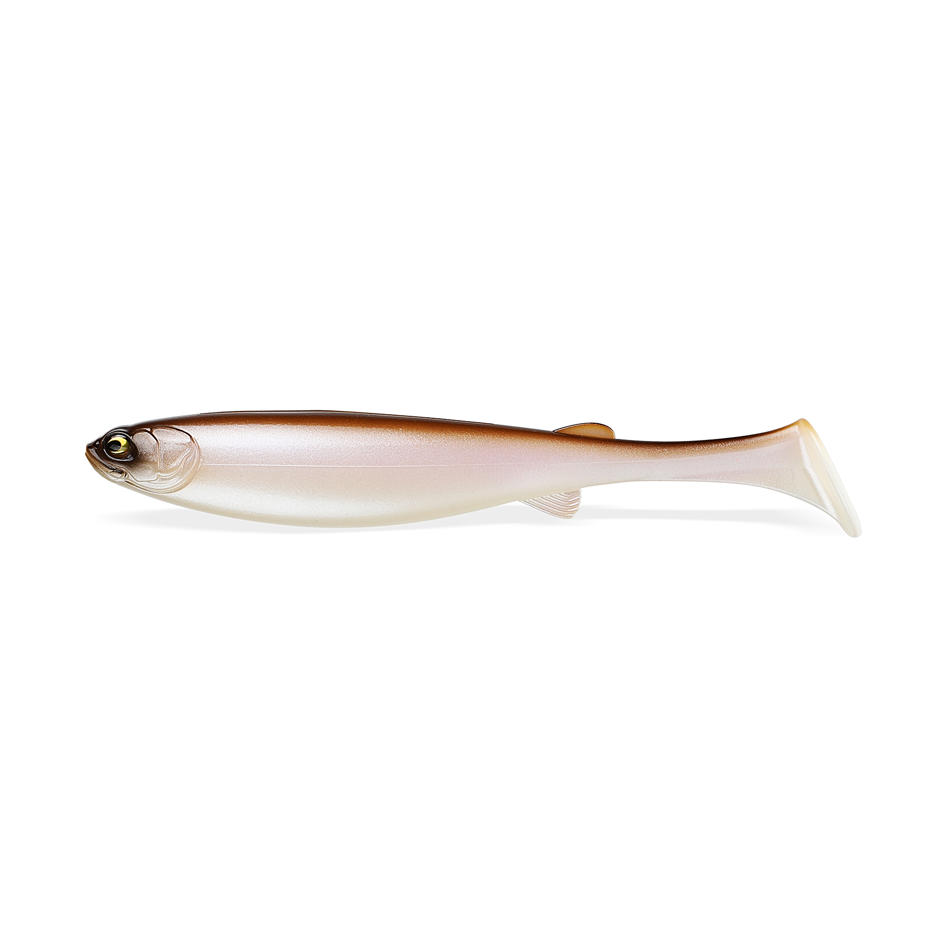 RAIJIN SHAD 220 - PXS