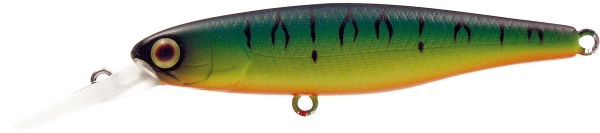 SQUIRREL 61 SP - ILLEX