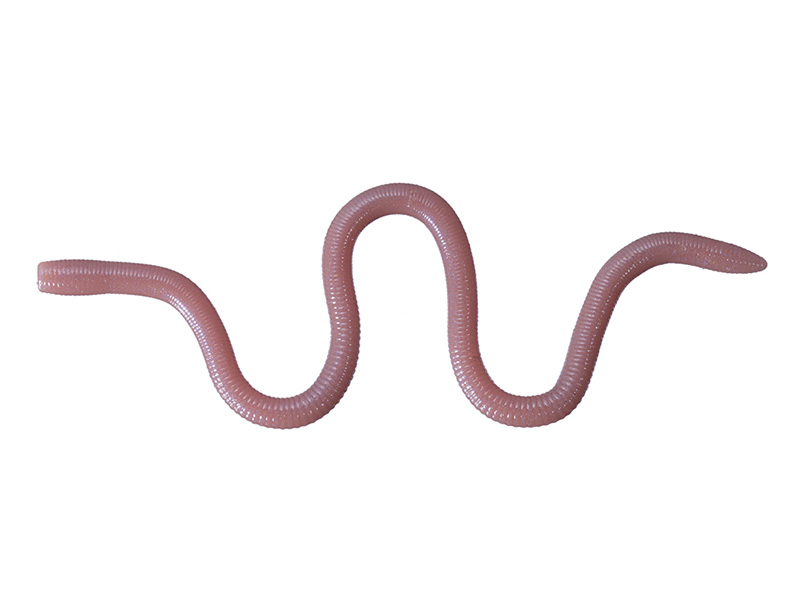 MMZ Large 13" Wurm - O.S.P