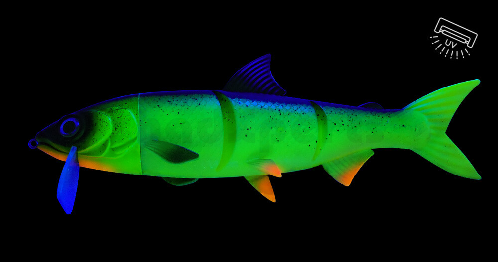 RenkyOne 7" (ca. 18 cm) - Fishing Ghost