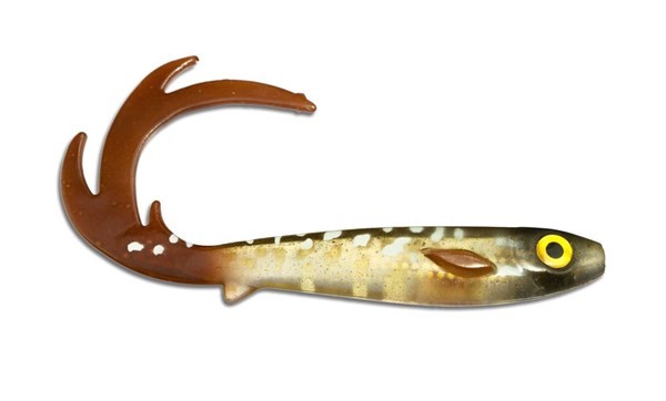 Flatnose Dragon 27 cm - KANALGRATIS