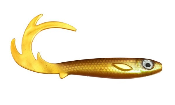 Flatnose Dragon 27 cm - KANALGRATIS